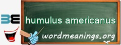 WordMeaning blackboard for humulus americanus